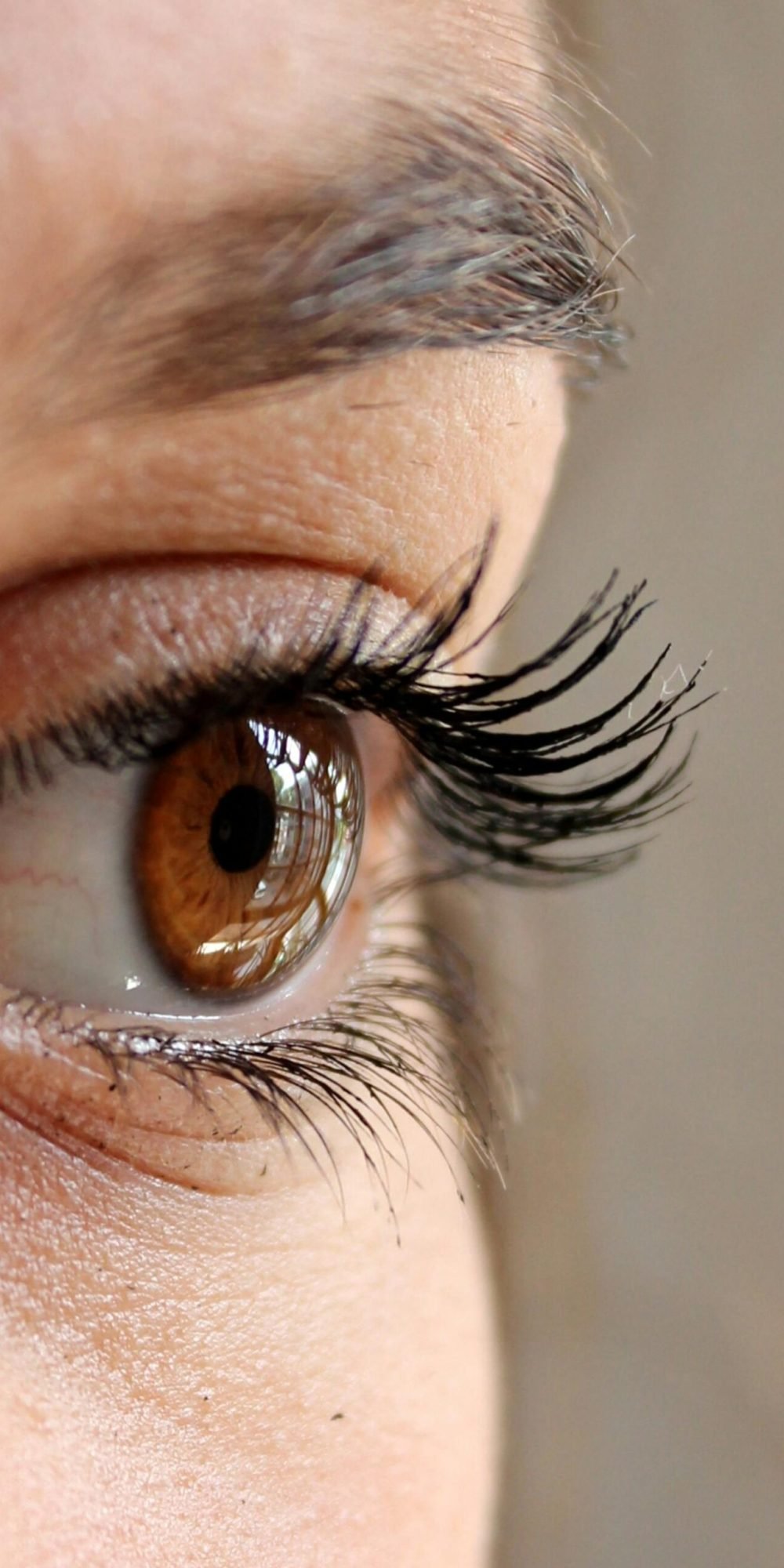 Detailed photo showing a brown eye with long eyelashes and eyebrow.